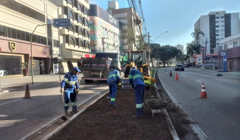Obras revitalizam canteiro da Avenida Nelson D'Ávila em SJC