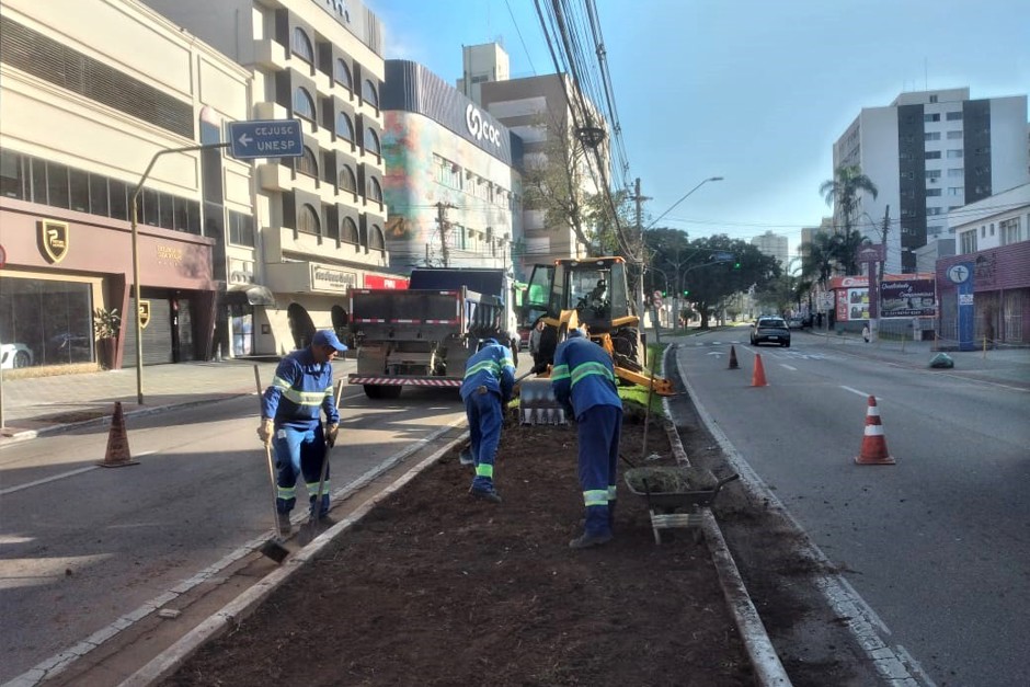 Obras revitalizam canteiro da Avenida Nelson D'Ávila em SJC