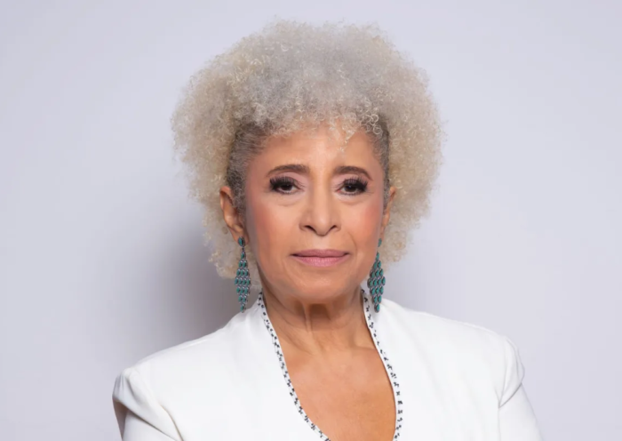 Sonia Guimarães ganha livro sobre trajetória como primeira professora negra do ITA