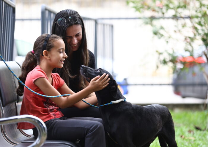 SJC incentiva adoção de pets idosos com tratamento veterinário vitalício