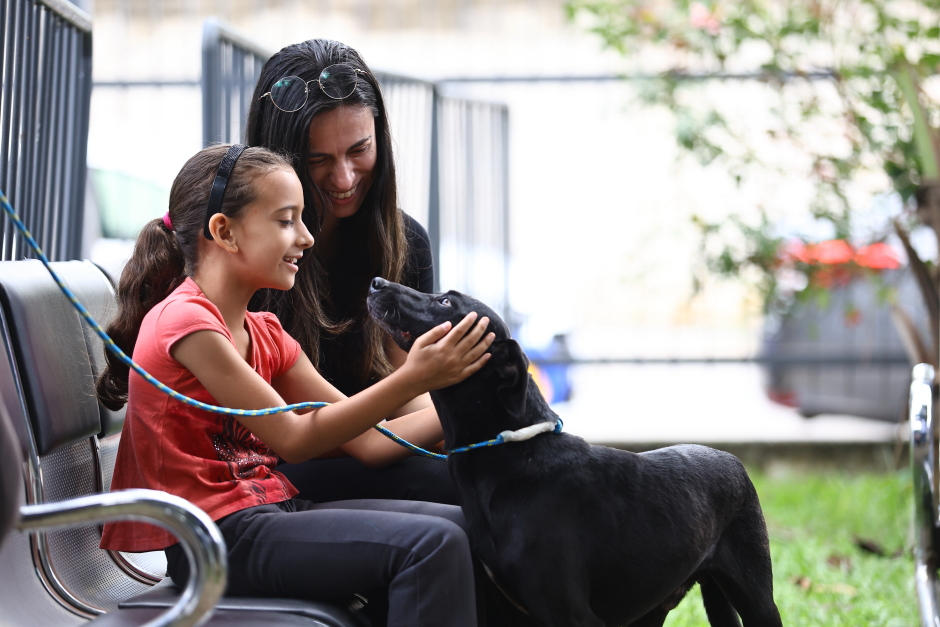 SJC incentiva adoção de pets idosos com tratamento veterinário vitalício 